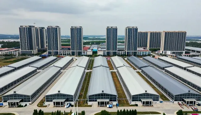 批量项目管理中常见问题及应对策略